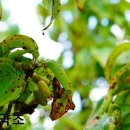 이명은 농장 이미지