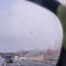 [목포 애견동반여행] 시티호텔/본전회수산/갓바위/시화골목/연희네슈퍼/스카이워크/테라스201카페