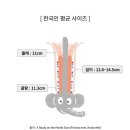 ■ 출처가 보증하는 한국인 평균 코끼리( 혹은 흑산도 갯지렁이) 사이즈 이미지