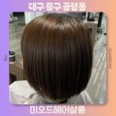 대구 동성로 야간 미용실 추천 복구매직 대만족 후기 미오드헤어살롱