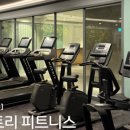 라리토 이미지