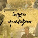 월드비젼기획