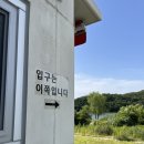 아산 키즈 풀빌라_구공스테이 도고키즈