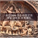 키위애드