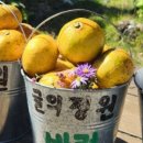 둔수농장 이미지