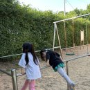 금란초병설유치원 이미지