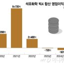 ﻿中 &#39;찍어내기&#39;에 K-화학 &#39;10조원&#39; 날려 이미지