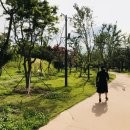 상무시민공원 이미지