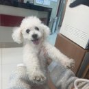 더힘찬족발 | 코르티스 엄성현, 마틴은 앞으로 잘 살일만 남았는데 나는 사람 구실을 못하네