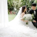 바네스헤어 이미지