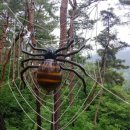 조산공원길 이미지