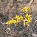 첨단우리병원 이미지