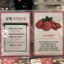 아포가토디젤라또