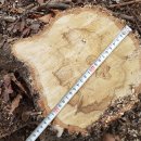 은평-005 이미지