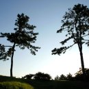 금한농장2 이미지