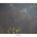 난설헌로 이미지