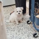 수수공방