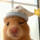 이스퍼