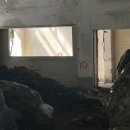 네츄럴시퀀스
