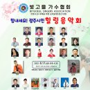 빛고을 채널