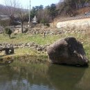 연못 속 풍경 이미지