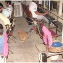 돼지PC방 이미지