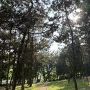 동해안자전거도로15(남) | 송도 놀거리] 아이들과 함께하기 좋은 송도센트럴파크 자전거 대여(4인) 이용 방법, 운영 시간, 이용후기
