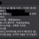 센트럴 펫살롱 이미지