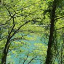 덕동경로당 이미지