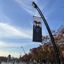후기｜241109 JX콘서트 중콘 후기 (체조경기장 KSPO DOME 34구역 13열 시야)