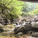 도림민박 이미지