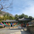 천주산 등산로변(천주암) 이미지