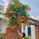 명덕네거리(명덕역 3번출구 앞) 이미지