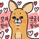 컴온노래연습장 이미지