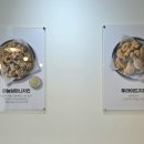 멕시카나(내포신도시점) 이미지