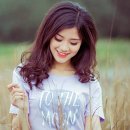 사계절풍경 이미지