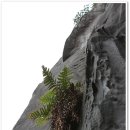 돔베낭골 이미지