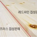 레드파인 이미지