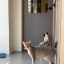 마로동물병원 이미지