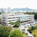 서울큰나무병원 이미지