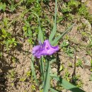 현도주유소 이미지