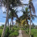 오렌지마트 상봉점 | 소소갬성 max 발리 우붓 1