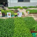 계양농약사 이미지