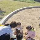 햇살자연어린이집 | 진짜 다사어린이집추천, 햇살조은어린이집에서 자연과 함께 웃는 아이의 하루를 만났어요