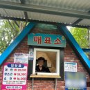 황금수영장 | [평택 안중 가볼만한 곳] 취사 가능한 수영장-황금수영장(후기,준비물)