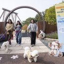 하늘하개 이미지