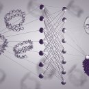 신화바이오 이미지