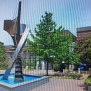 노년심리학 이미지