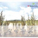 목포신안군농협조합공동사업법인 이미지