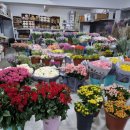 새경산꽃직판장 이미지